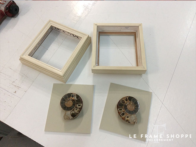 Le Frame Shoppe Blog | FEATURED PROJECT TWO AMMONITES
