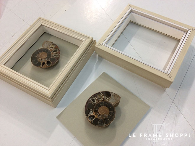 Le Frame Shoppe Blog | FEATURED PROJECT TWO AMMONITES