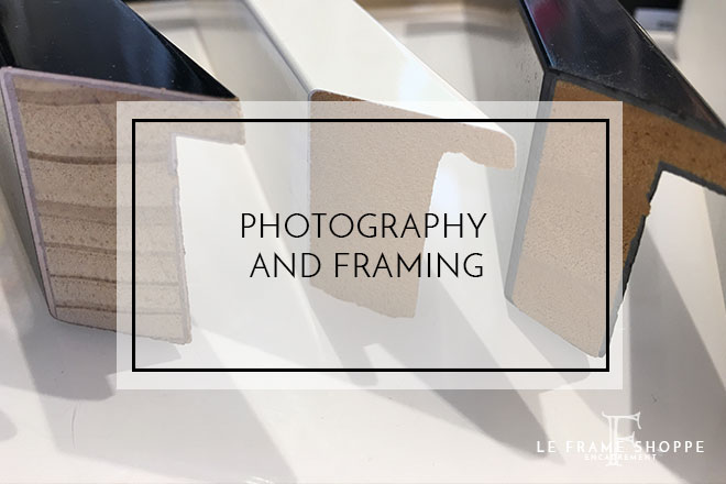 Le Frame Shoppe Blog | Photography and Framing