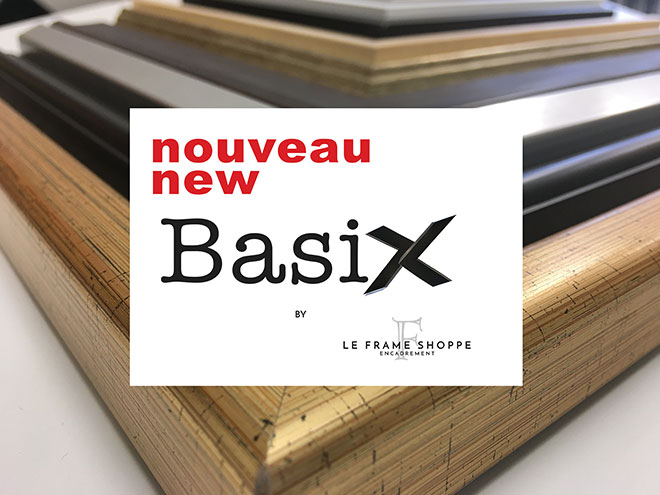 Le Frame Shoppe Blog | Newest Product Line Basix