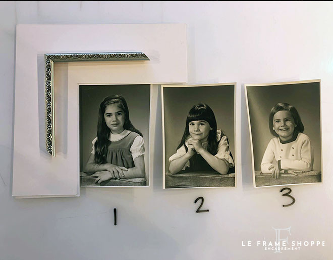 Le Frame Shoppe Blog | The Family Lineage Project