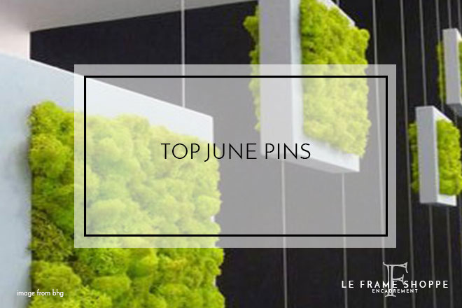 Le Frame Shoppe Blog | Top June Pins