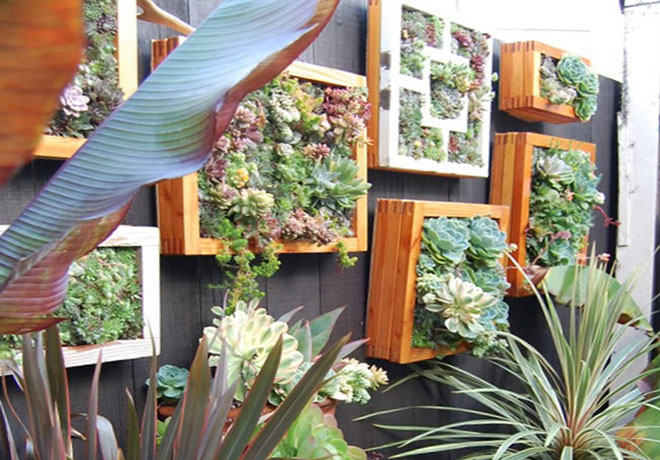 Le Frame Shoppe Blog | Creative Garden Ideas